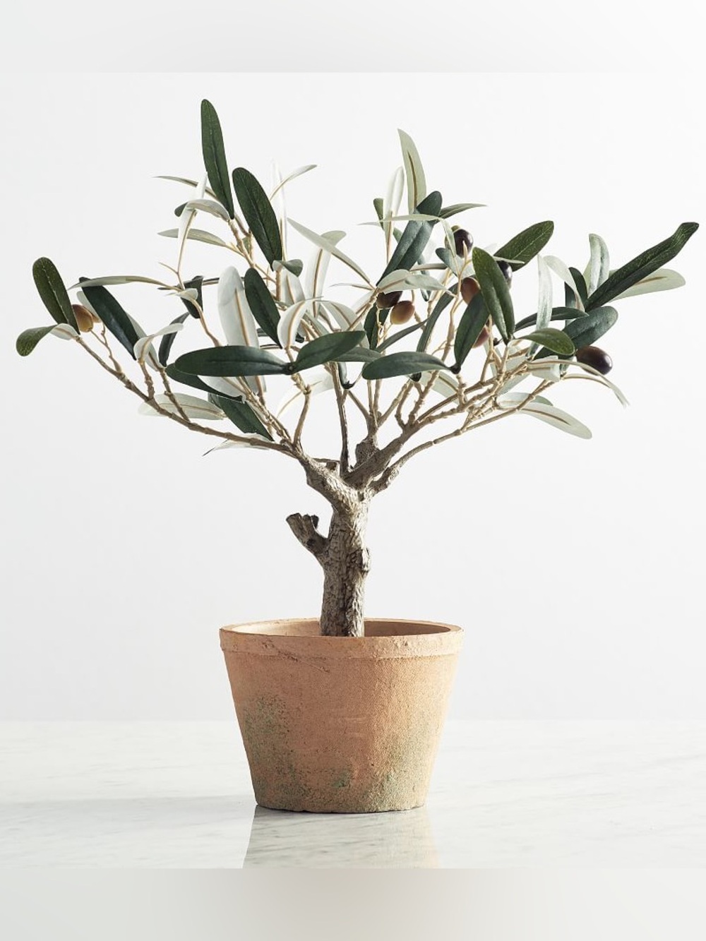 Pottery Barn Faux Potted Olive Tree, 16”H, Excellent Condition